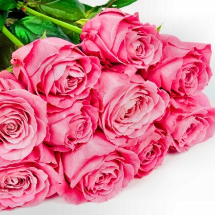 Nuestras Rosas